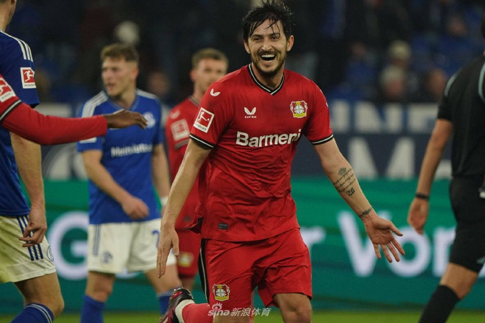 全面的表现 全面的表现